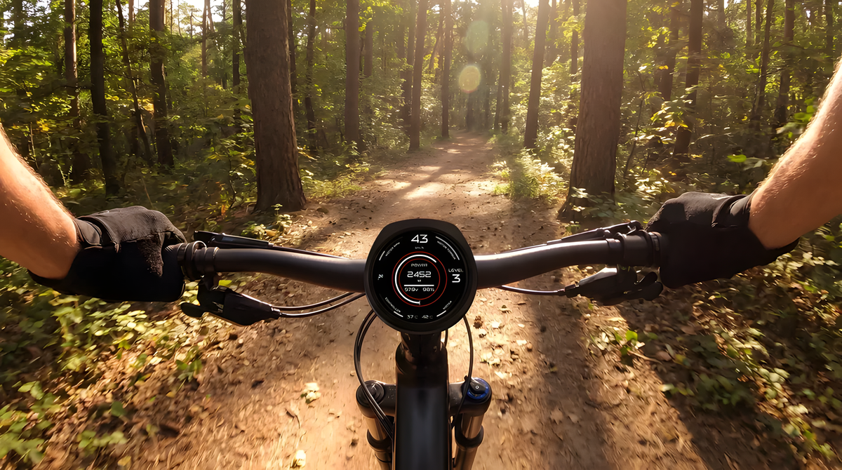 CYCMOTOR Ebike Display