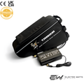 72V 30Ah High-Performance EBike Battery | 100A ANT BMS | Dual Copper Plating | Triangle Ebike Battery
