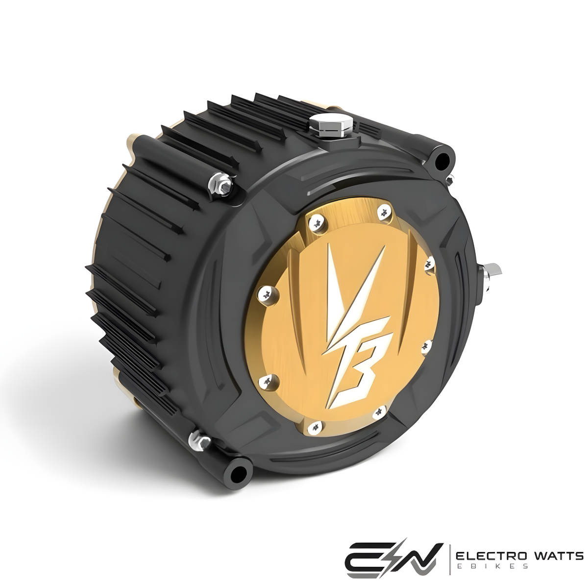 VTB VENTUS RYUGA 81KW MOTOR FOR SUR RON ULTRA BEE